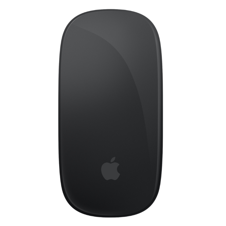 Apple APPLE MAGIC MOUSE 2 Guadeloupe